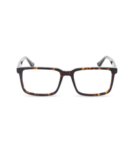 Load image into Gallery viewer, VPLN17 540722_01