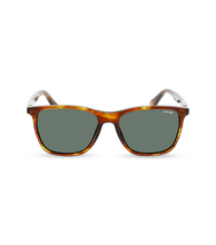 画像をギャラリービューアに読み込む, SPL872 5606HN_01