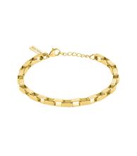 画像をギャラリービューアに読み込む, PEAGB0041802_02
