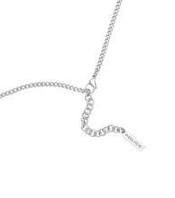 Load image into Gallery viewer, PEAGN0000903_03
