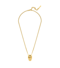 画像をギャラリービューアに読み込む, PEAGN0000904_01
