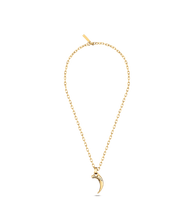 画像をギャラリービューアに読み込む, PEAGN2211902_02
