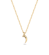 画像をギャラリービューアに読み込む, PEAGN2211904_01
