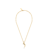 画像をギャラリービューアに読み込む, PEAGN2211904_02
