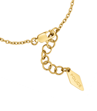 画像をギャラリービューアに読み込む, PEJLB0000401_03
