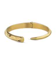 Lade das Bild in den Galerie-Viewer, PEJLB2213102_01
