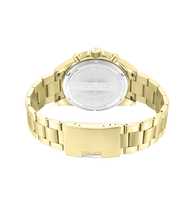 Lade das Bild in den Galerie-Viewer, PEWJK2227809_03
