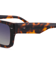 Lade das Bild in den Galerie-Viewer, SPLQ87 540C10_05
