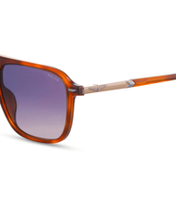 画像をギャラリービューアに読み込む, SPLR78 570807_05
